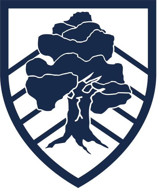 logo navy